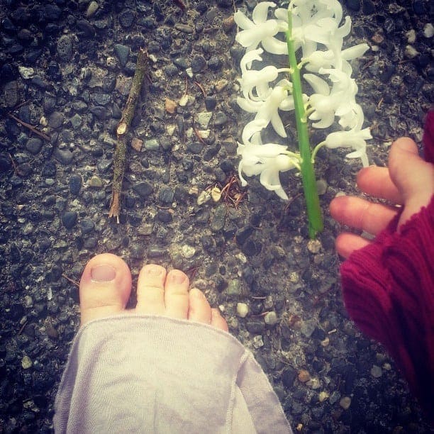 Will stop for flowers. #earthing #yayom